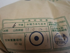 山形県最上町産はえぬき（R6年度産・１等級）１～１８3