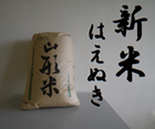 山形県最上町産はえぬき（R7年度産・1等級）１～山形県最上町産はえぬき（R7年度産・1等級）１０1