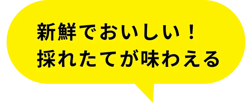 life-comment02