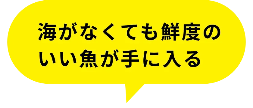 life-comment04