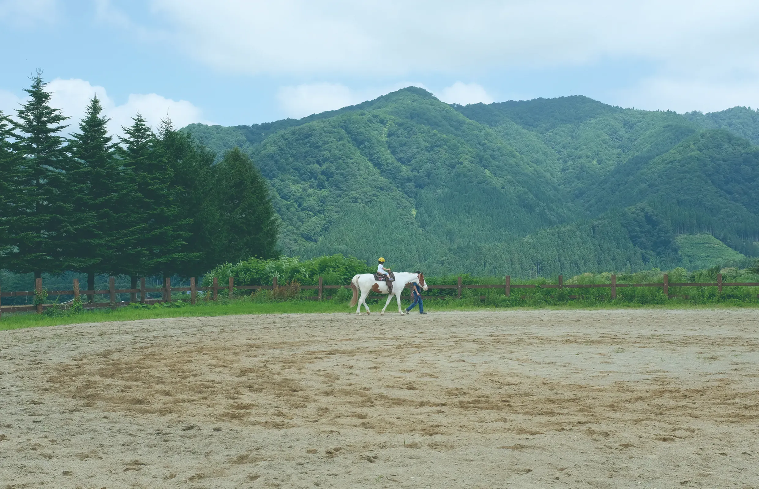 mv01